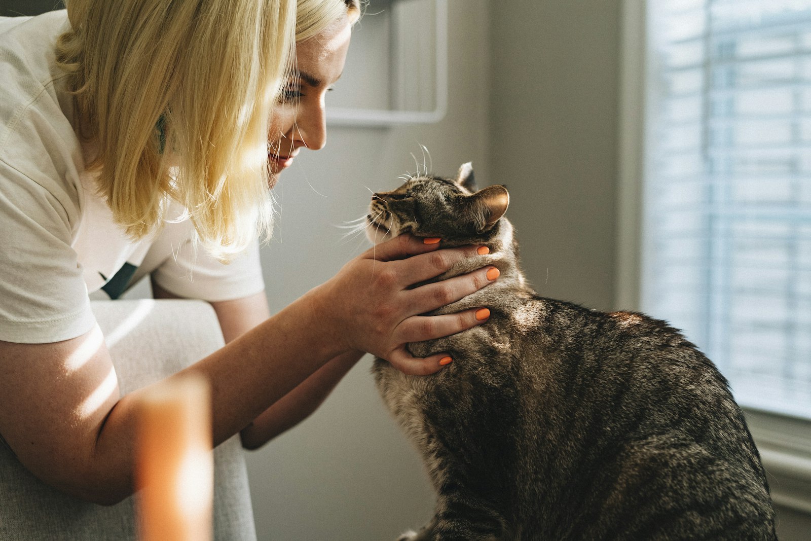 A woman leans in close to a tabby cat, gently cupping its chin in warm window light.